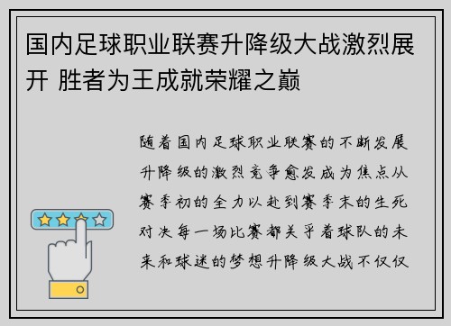 国内足球职业联赛升降级大战激烈展开 胜者为王成就荣耀之巅
