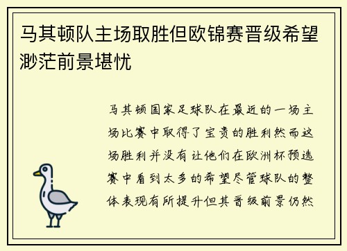 马其顿队主场取胜但欧锦赛晋级希望渺茫前景堪忧