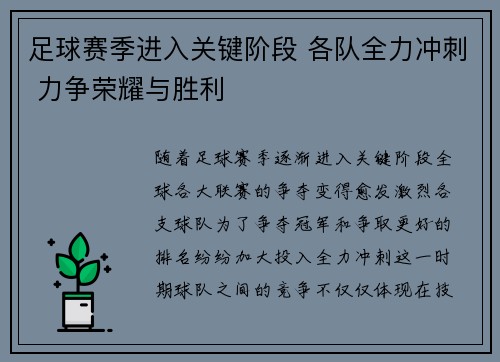 足球赛季进入关键阶段 各队全力冲刺 力争荣耀与胜利